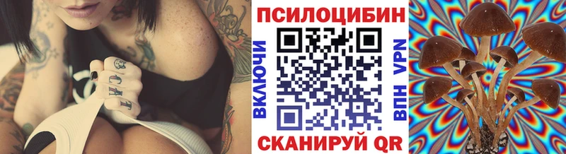 Галлюциногенные грибы MAGIC MUSHROOMS  купить наркотики цена  Камышин 